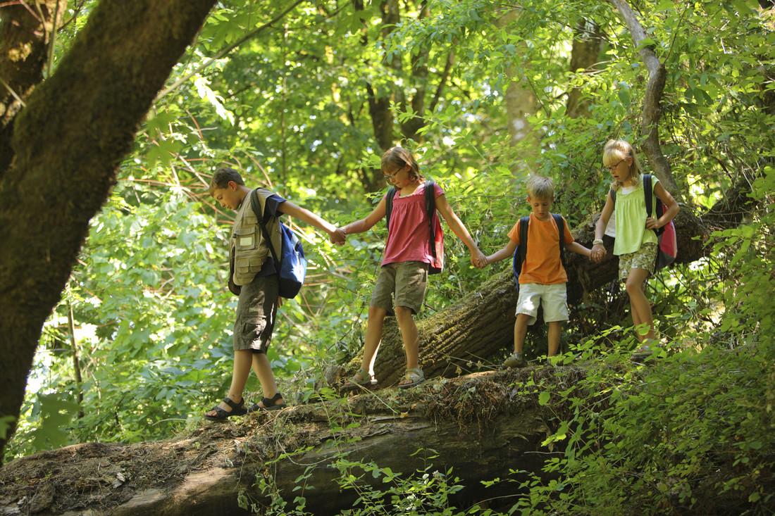 Exploring the Nutritional ‍Needs of Growing Kids