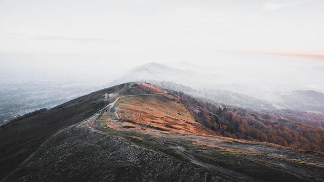 Exploring Sound Quality and Comfort Across ⁣Leading Brands