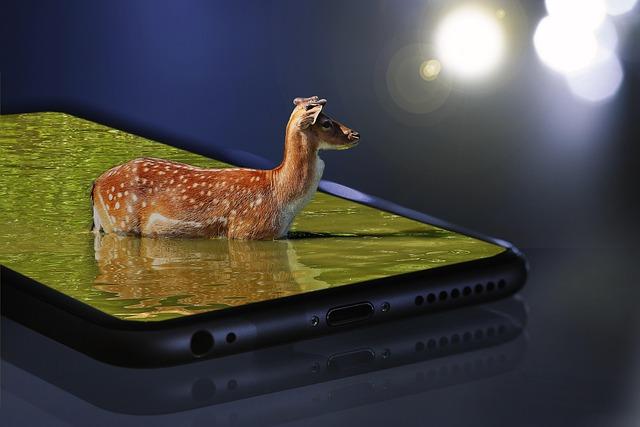 Innovative Sustainability Driving Phone ‍Case ‍Design