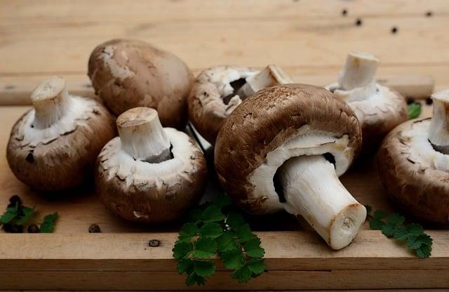 Ingredient⁢ Integrity: Sourcing and Quality in Huel⁢ and Ka’Chava