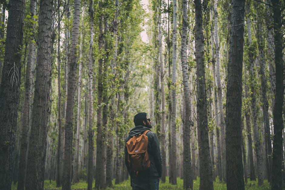 Exploring ​the Material Science Behind Biodegradable ​tools