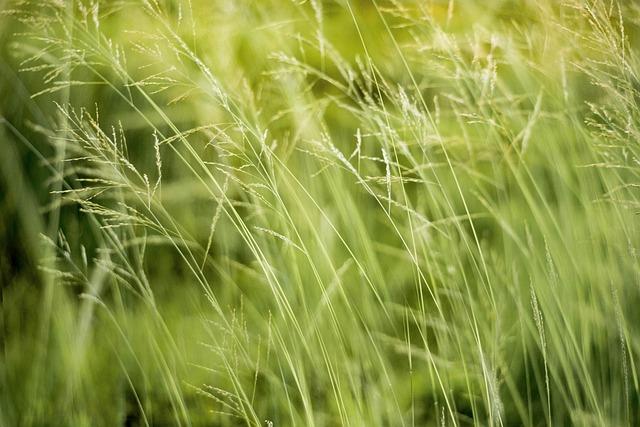 Environmental ​Impact: making Sustainable Choices ‍in⁢ Fabric ‌Care