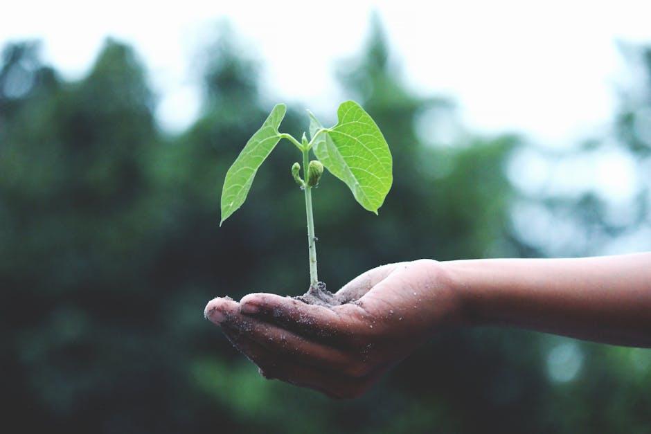 Sustainability ⁢Secrets: How⁤ Compostable Bags‌ Contribute​ to Environmental Health