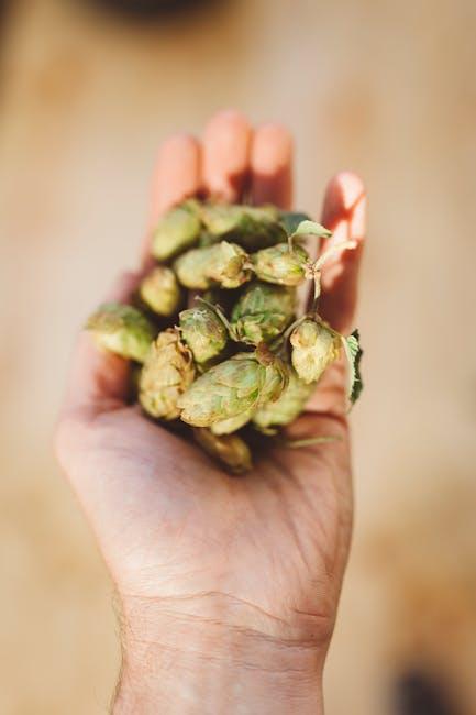 Nutrient Dense Choices for Balanced‌ Nutrition While Traveling