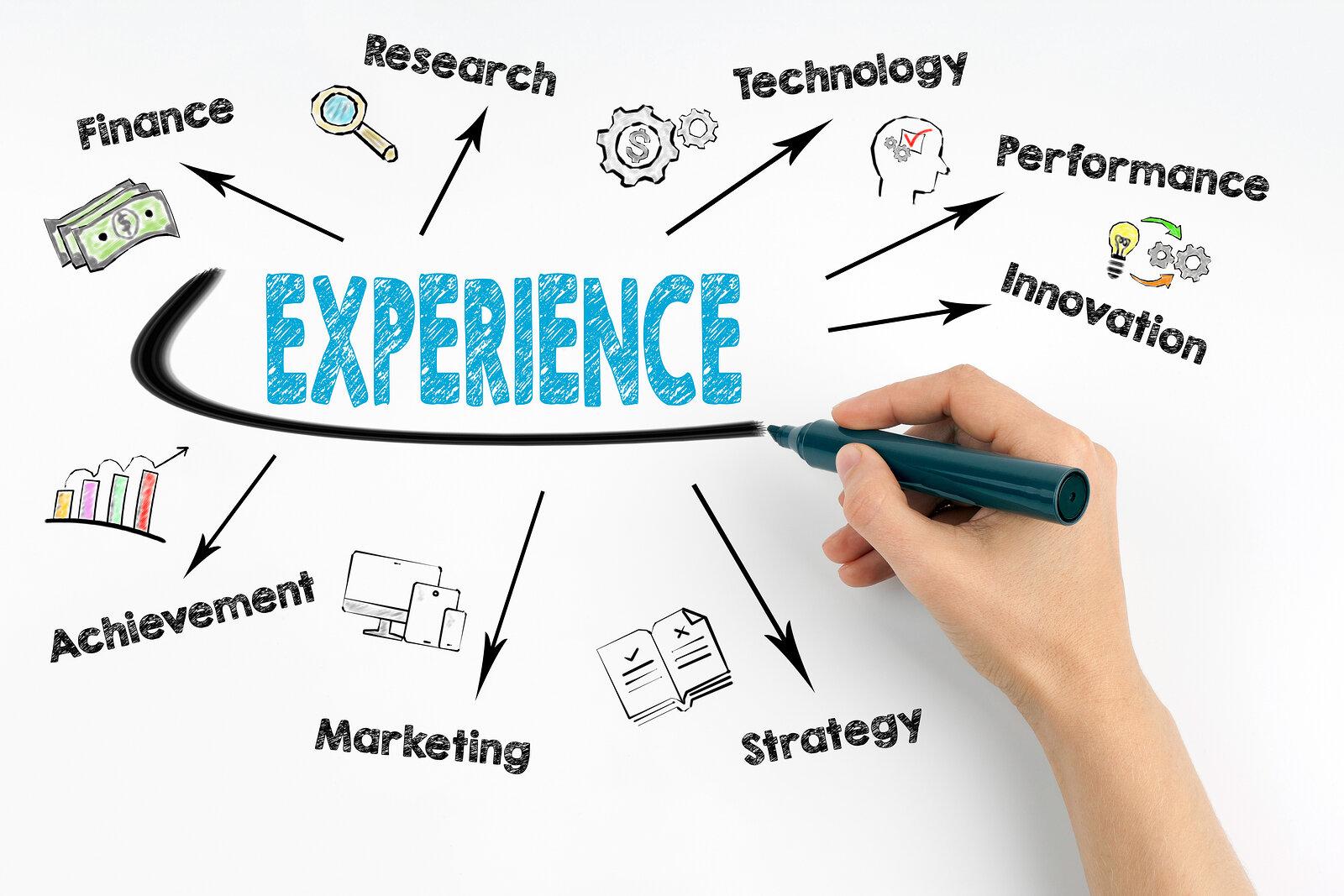 User Experience and Interface: navigating​ the Options