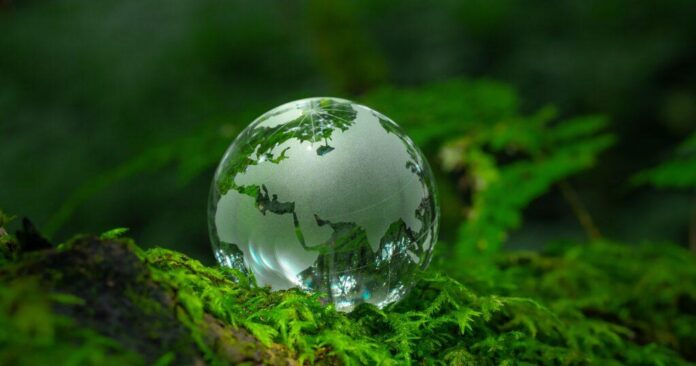 Sustainable Travel Gear: Eco-Friendly Brands You Should Know