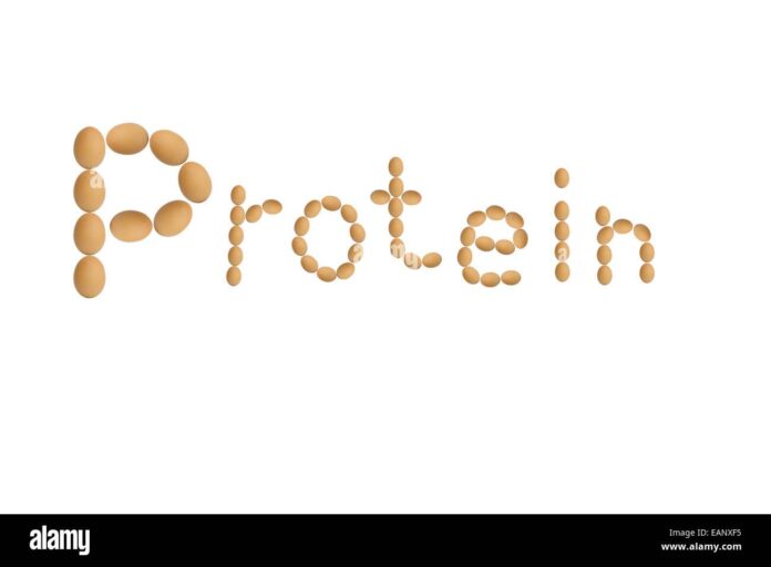 Gluten-Free Nutrition Powders That Don’t Taste Like Chalk