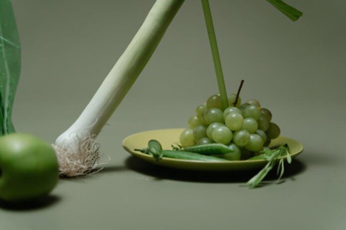 Athletic Greens vs LyfeFuel: Which Green Powder Supports Performance Best?